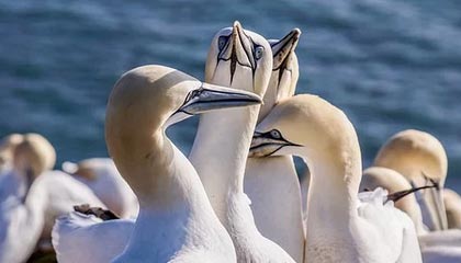 2025年最新有正规捐卵机构吗多少钱啊推荐(今日分享捐卵有正规医院吗)